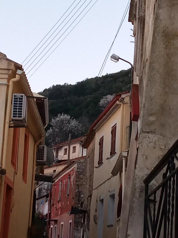 Village House Ágios Matthaíos エクステリア 写真